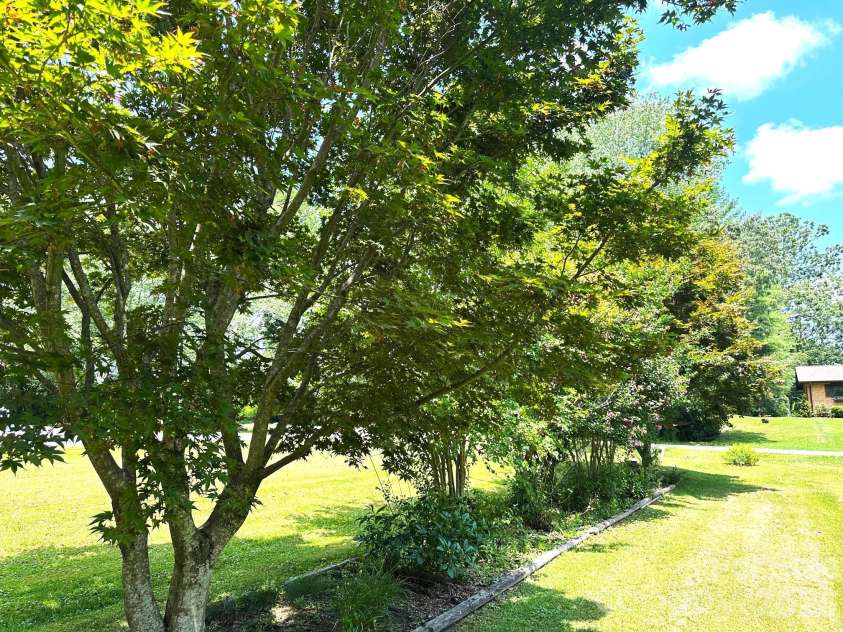 25 Norman Road, Fletcher, NC 28732.  MLS# CAR4278825, YatesRealty ID 3081. Mature landscaping