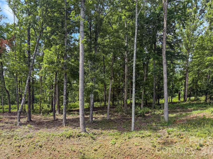 170 + 00000 Bear View Road, Weaverville, NC 28787.  MLS# CAR4392109, YatesRealty ID 30821. 