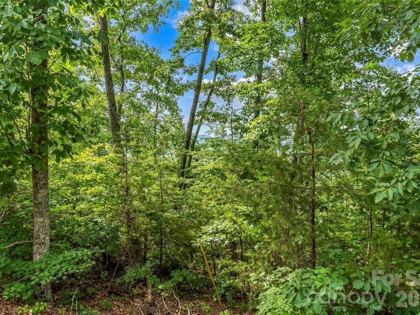 0 Brighton Drive, Bostic, NC 28018.  MLS# CAR4385366, YatesRealty ID 30844. 