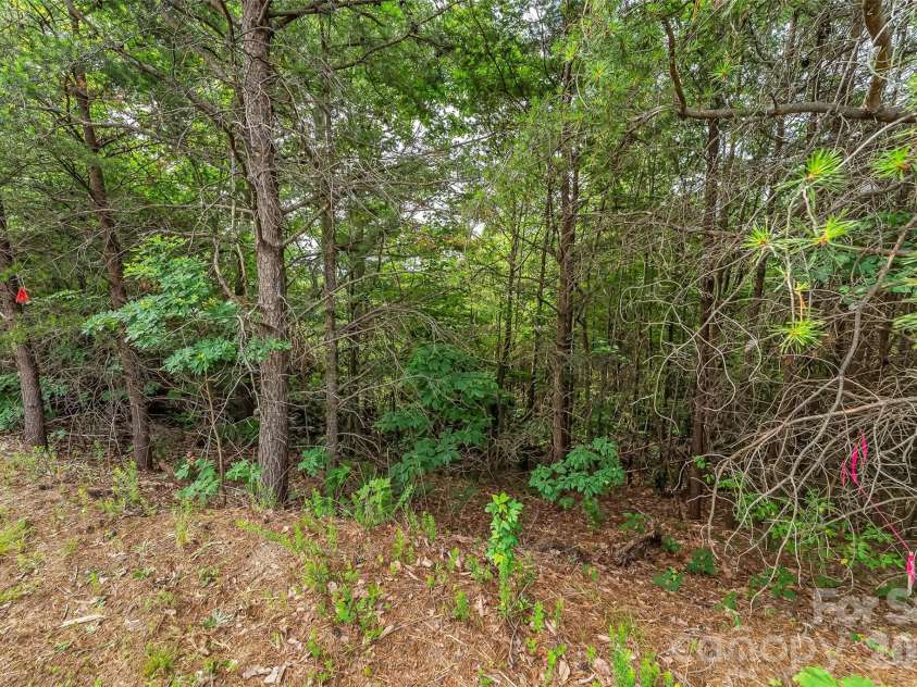 0 Brighton Drive, Bostic, NC 28018.  MLS# CAR4385366, YatesRealty ID 30844. 