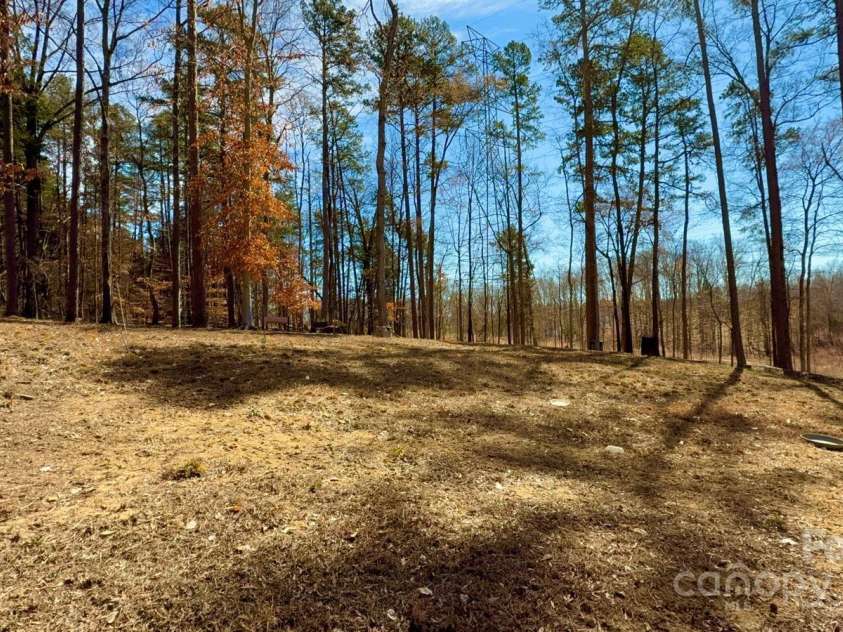 12508 Asbury Chapel Road, Huntersville, NC 28078.  MLS# CAR4228121, YatesRealty ID 3088. Backyard