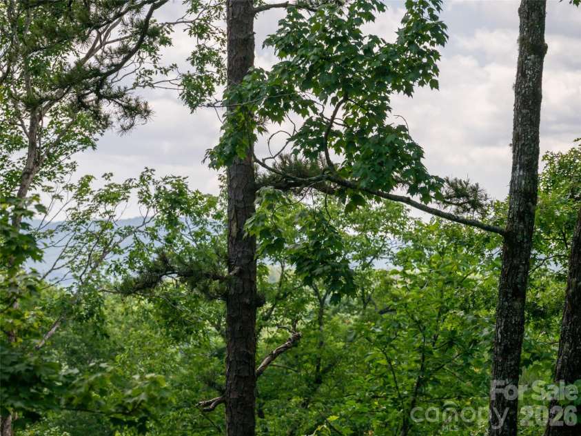 78 Boyd View Lane, Mills River, NC 28759.  MLS# CAR4394208, YatesRealty ID 30892. 