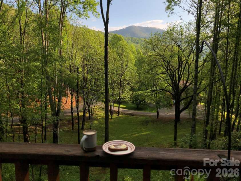 1551 Walnut Creek Road, Waynesville, NC 28786.  MLS# CAR4377381, YatesRealty ID 30894. View potential and selective tree trimming. Current owners have preferred the added privacy, but additional clearing can further mountain views.