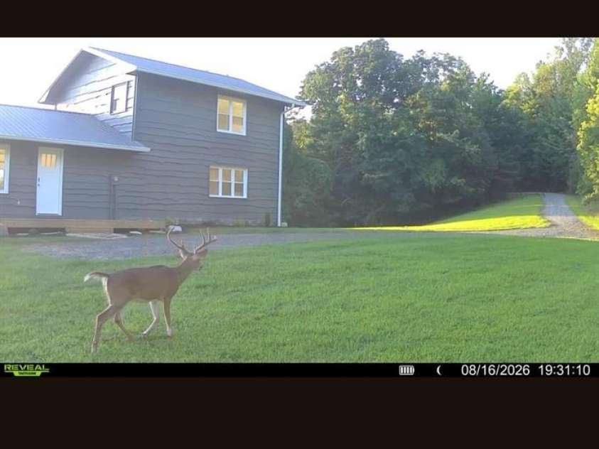 822 Windy Mountain Road, Deep Gap, NC 28618.  MLS# CAR4373074, YatesRealty ID 30990. 