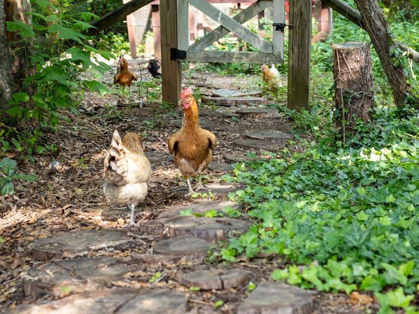 222 Oakhill Street, Iron Station, NC 28080.  MLS# CAR4276193, YatesRealty ID 31017. 