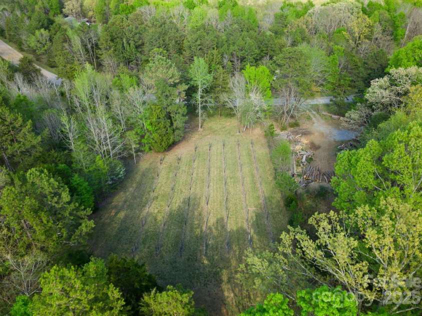 10200 Amsterdam Drive, Mount Pleasant, NC 28124.  MLS# CAR4213612, YatesRealty ID 31037. Vineyard with family planted grapevines- perfect for homemade jelly and muscadine wine.