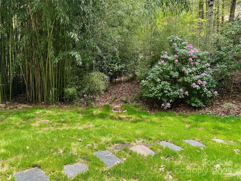 15 Elmwood Lane, Asheville, NC 28803.  MLS# CAR4231161, YatesRealty ID 31074. Fenced backyard for furry friends