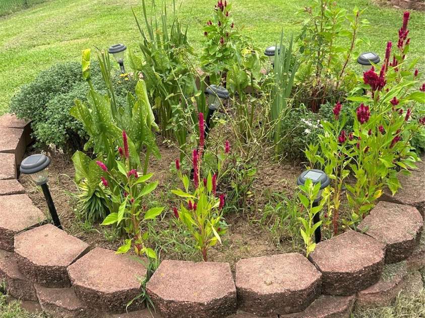 1208 North Davis Avenue, Newton, NC 28658.  MLS# CAR4283264, YatesRealty ID 31083. Garden