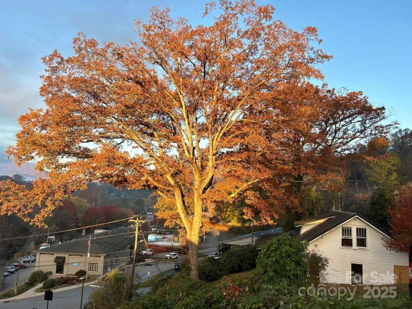 16 Drury Lane, Sylva, NC 28779.  MLS# CAR4320345, YatesRealty ID 311. 