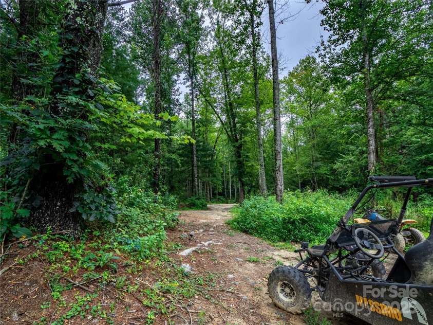 140 Bald Rock Road, Hendersonville, NC 28792.  MLS# CAR4284431, YatesRealty ID 31119. Plenty of acreage for whatever your heart desires.