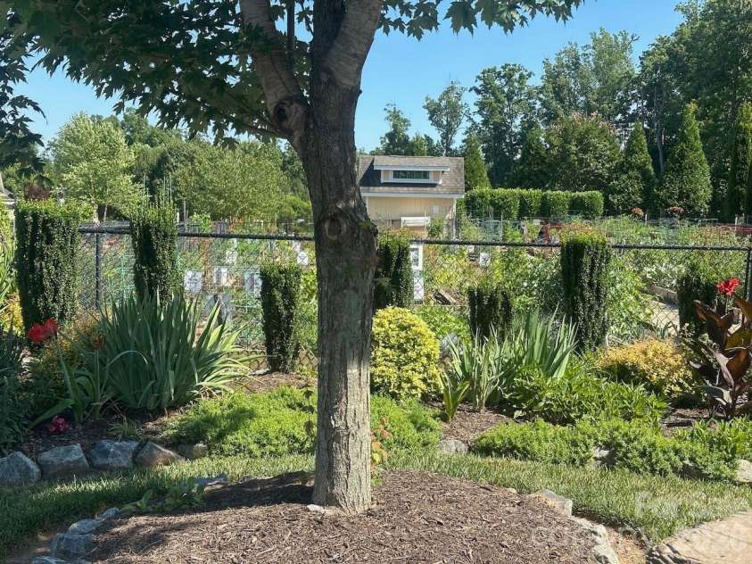 17718 Morehampton Avenue, Cornelius, NC 28031.  MLS# CAR4389501, YatesRealty ID 31154. Community Garden