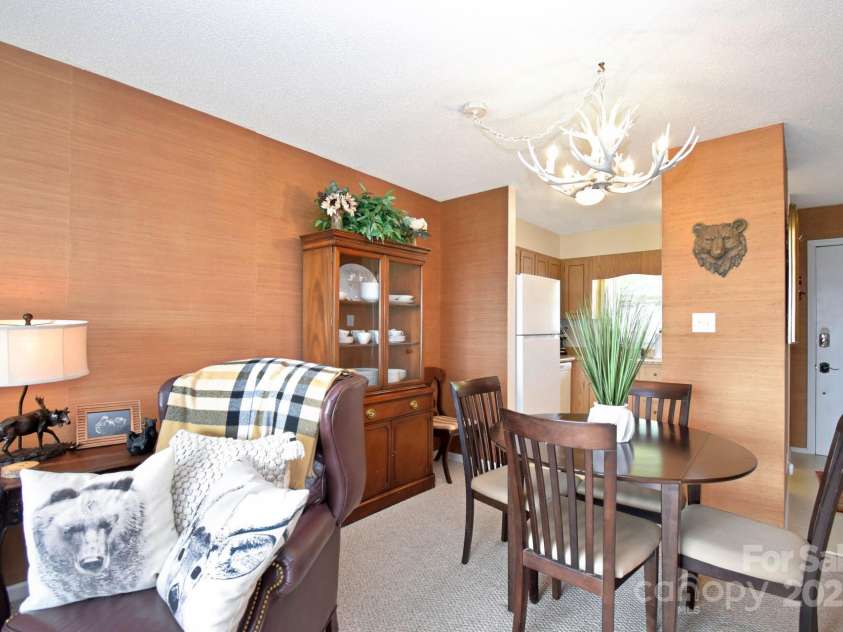 367 Skyleaf Drive, Banner Elk, NC 28604.  MLS# CAR4251134, YatesRealty ID 3116. 