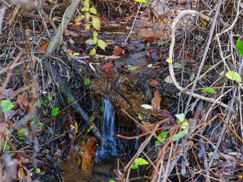 321 Lyle Lane, Green Mountain, NC 28740.  MLS# CAR4320356, YatesRealty ID 312. 