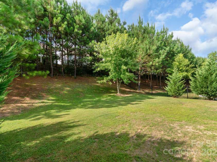 1016 Burton Point Court, Waxhaw, NC 28173.  MLS# CAR4281237, YatesRealty ID 31237. Fenced Backyard