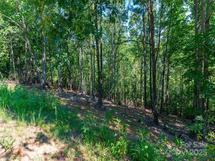 2026 Deep Gap Farm Road, Mill Spring, NC 28756.  MLS# CAR4284268, YatesRealty ID 31239. 