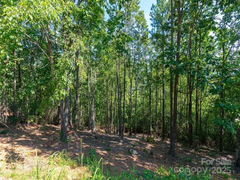 2026 Deep Gap Farm Road, Mill Spring, NC 28756.  MLS# CAR4284268, YatesRealty ID 31239. 