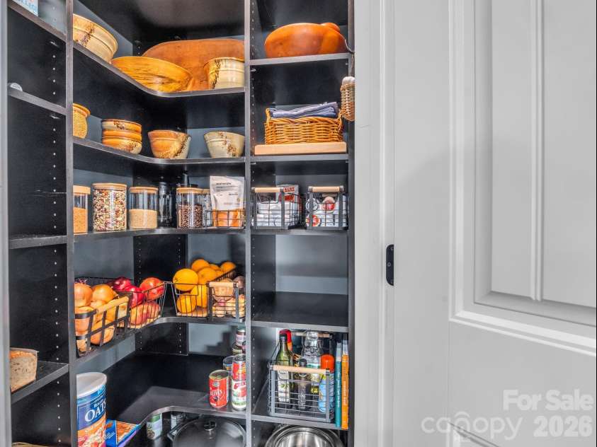 614 Downing Way, Landrum, SC 29356.  MLS# CAR4349559, YatesRealty ID 3125. Pantry with professionally designed organization