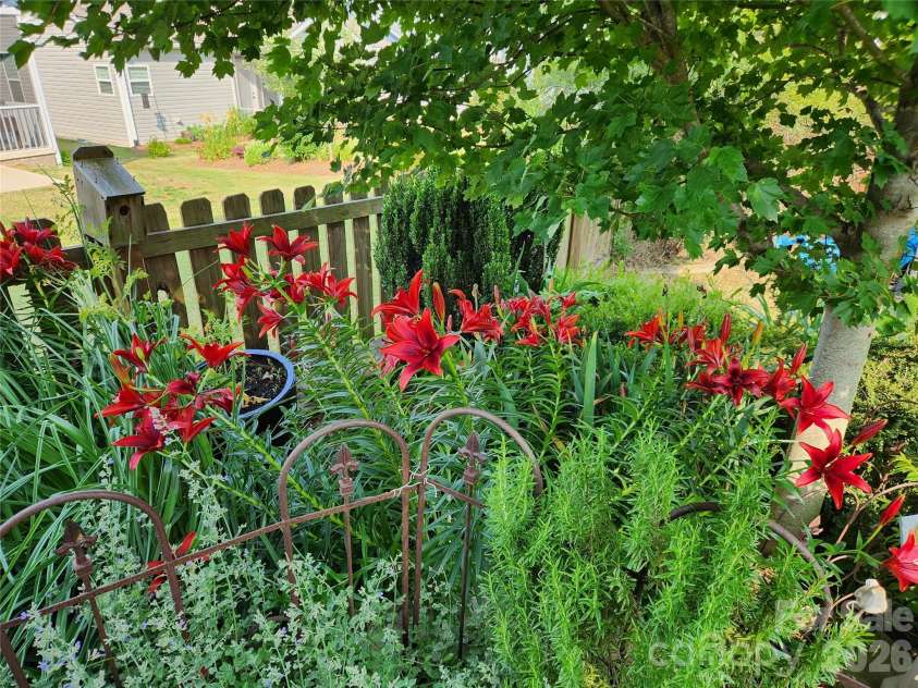 614 Downing Way, Landrum, SC 29356.  MLS# CAR4349559, YatesRealty ID 3125. Pollinator Gardens
