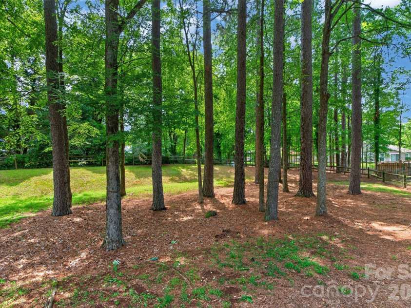 7148 Powder Mill Place, Charlotte, NC 28277.  MLS# CAR4379444, YatesRealty ID 31287. A backyard oasis