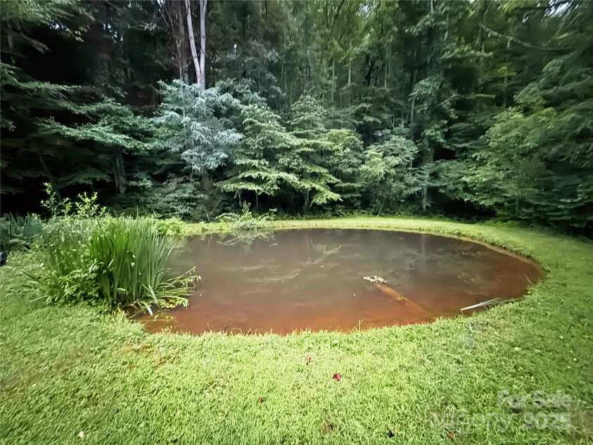 226 Wildcat Mountain Trail, Sylva, NC 28779.  MLS# CAR4284312, YatesRealty ID 31290. Spring fed pond stocked with fish