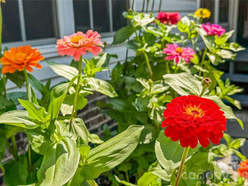 4425 Derbyshire Lane, Matthews, NC 28104.  MLS# CAR4393404, YatesRealty ID 31298. 