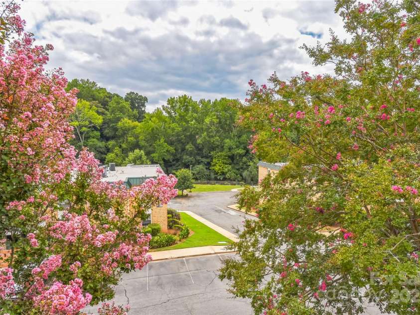 4735 Hedgemore Drive, Charlotte, NC 28209.  MLS# CAR4291044, YatesRealty ID 31354. View to Sugar Creek Greenway