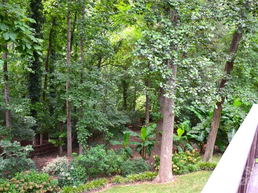 8802 Glenside Street, Huntersville, NC 28078.  MLS# CAR4316716, YatesRealty ID 31376. Landscaping includes camellias, tulip magnolia, weeping cherry, Japanese maple, hickory and loads of flowering perennials.