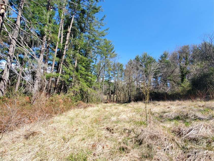 28 Plemmons Street, Canton, NC 28716.  MLS# CAR4240037, YatesRealty ID 3138. 