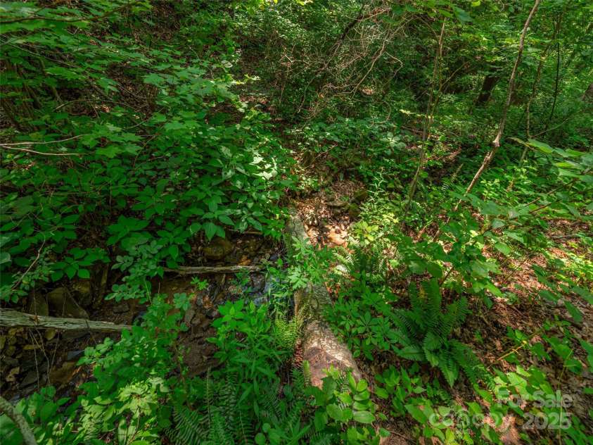 160 Tracy Place, Clyde, NC 28721.  MLS# CAR4282174, YatesRealty ID 31389. 