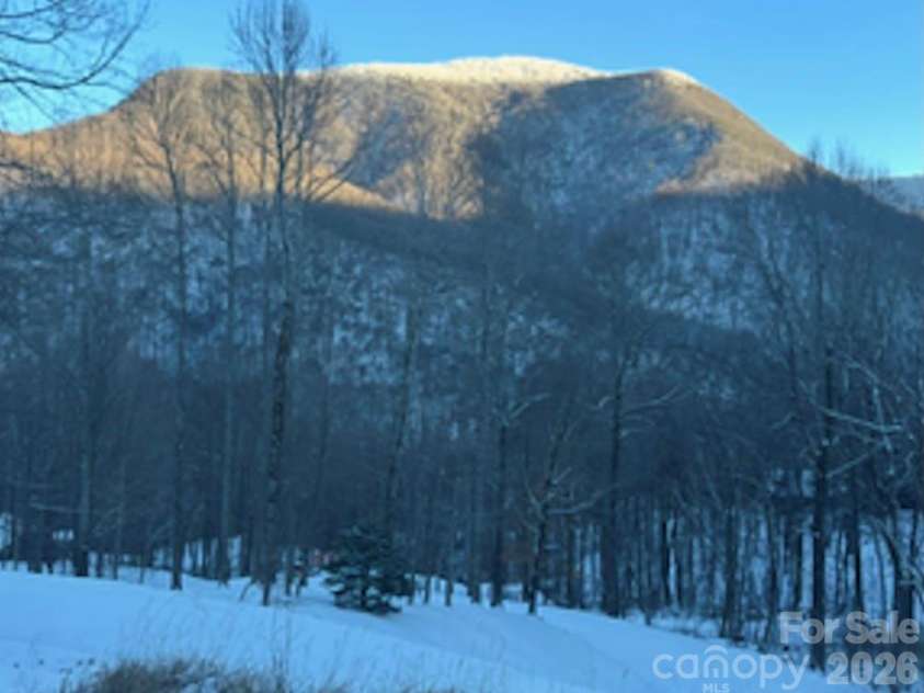 302 Davy Crockett Drive, Maggie Valley, NC 28751.  MLS# CAR4390074, YatesRealty ID 31408. View provided by homeowner
