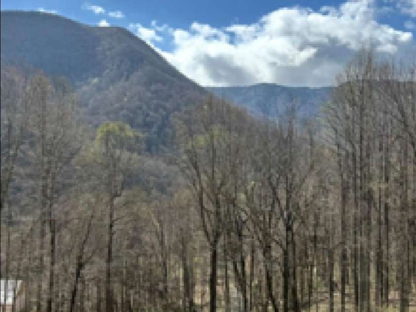 302 Davy Crockett Drive, Maggie Valley, NC 28751.  MLS# CAR4390074, YatesRealty ID 31408. View provided by homeowner