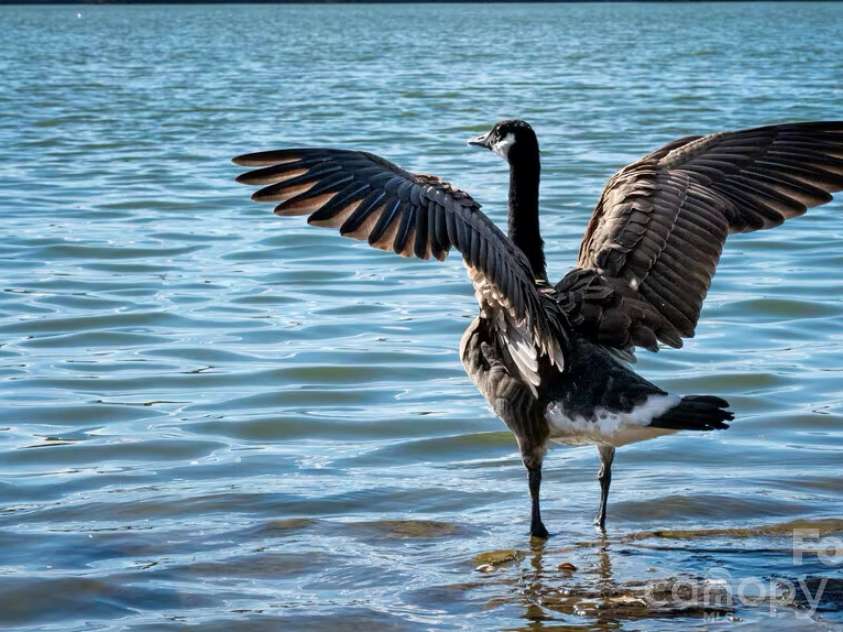 3325 Fairview Drive, Gastonia, NC 28052.  MLS# CAR4286770, YatesRealty ID 31421. Rankin Lake Park