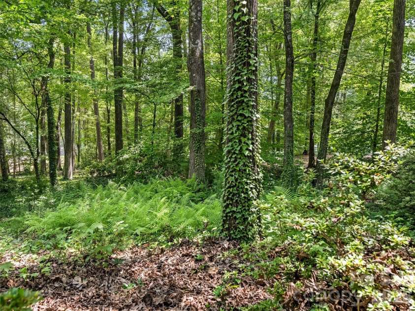 350 Shasta Lane, Charlotte, NC 28211.  MLS# CAR4394531, YatesRealty ID 31439. 