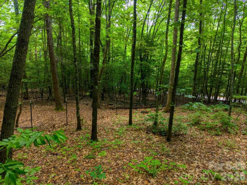 243 Jonquil Woods Road, Franklin, NC 28734.  MLS# CAR4394222, YatesRealty ID 31472. 