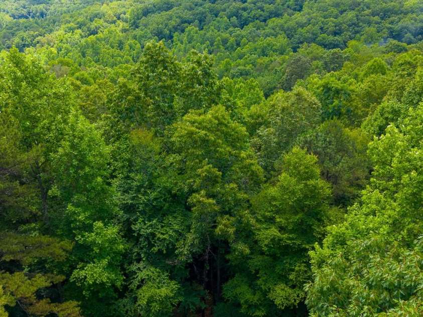 243 Jonquil Woods Road, Franklin, NC 28734.  MLS# CAR4394222, YatesRealty ID 31472. 