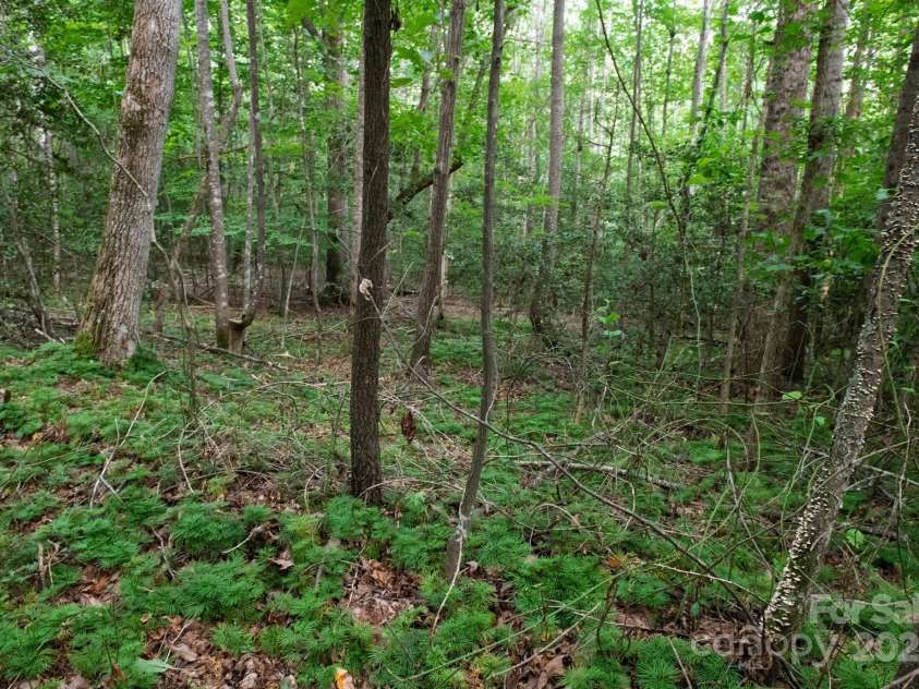 2401 Hundred Acres Lane, Lenoir, NC 28645.  MLS# CAR4283468, YatesRealty ID 31487. 