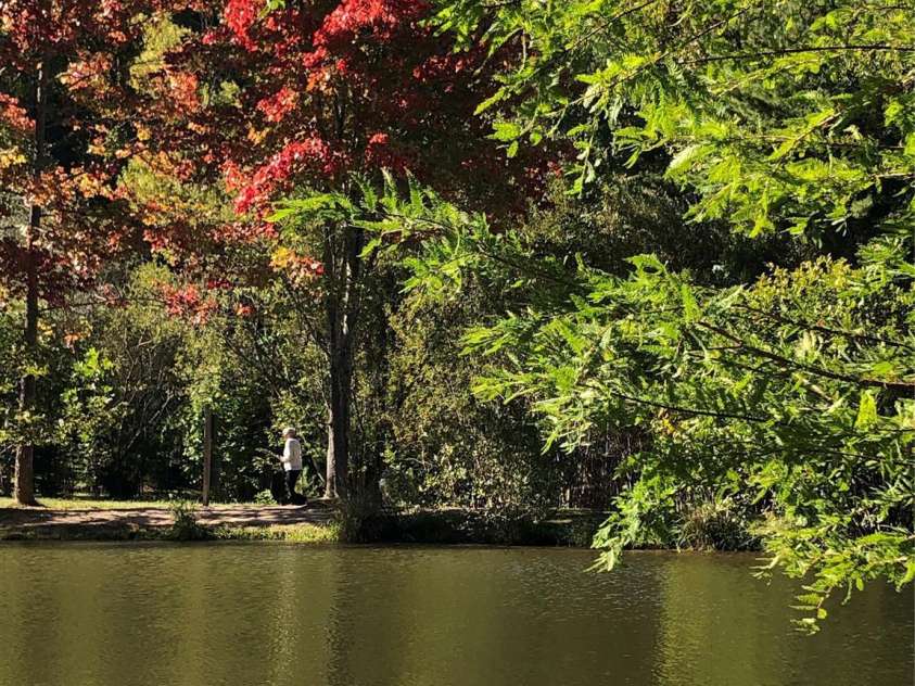 49 Lake Drive, Hendersonville, NC 28739.  MLS# CAR4204095, YatesRealty ID 3149. Fishing Lake