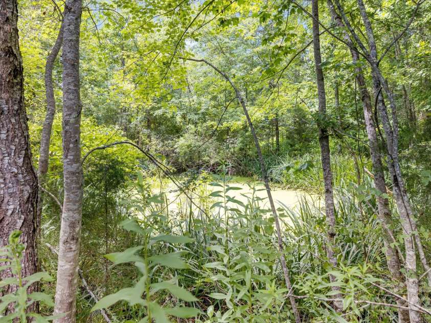 101 Eller Ford Road, Weaverville, NC 28787.  MLS# CAR4287431, YatesRealty ID 31543. Pond