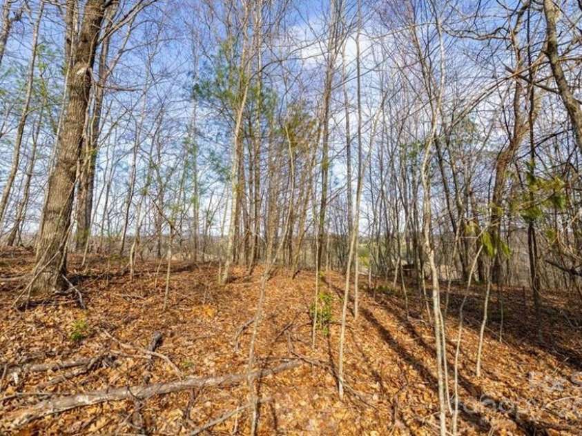 TBD Autumn Run, West Jefferson, NC 28694.  MLS# CAR4288943, YatesRealty ID 31570. 