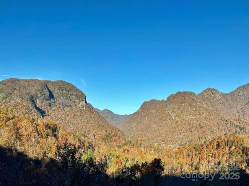 315 Thomas A Edison Road, Lake Lure, NC 28746.  MLS# CAR4287031, YatesRealty ID 31582. 