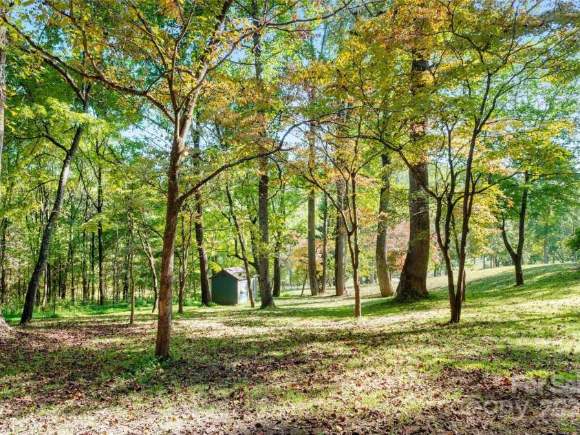 116 Sams Branch Road, Candler, NC 28715.  MLS# CAR4137587, YatesRealty ID 3165. Gorgeous, healthy woods