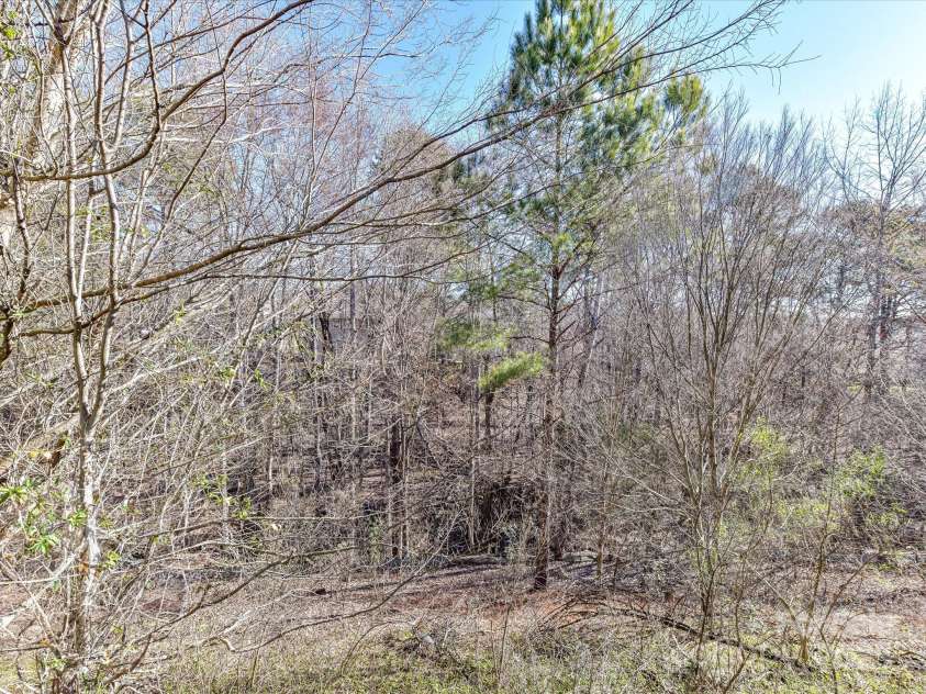 7509 Thorn Creek Lane, Tega Cay, SC 29708.  MLS# CAR4223856, YatesRealty ID 3167. View from the back deck