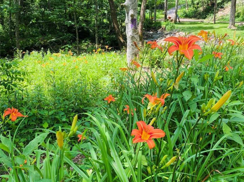 3301 State Highway 197 None, Burnsville, NC 28714.  MLS# CAR4354714, YatesRealty ID 3180. 