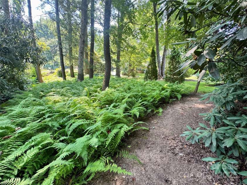 206 Rock Hill Avenue, Hendersonville, NC 28792.  MLS# CAR4280026, YatesRealty ID 31806. Fern garden