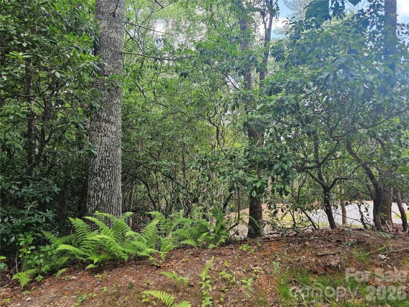 171 Duff Cove Road, Brevard, NC 28712.  MLS# CAR4390871, YatesRealty ID 31816. 