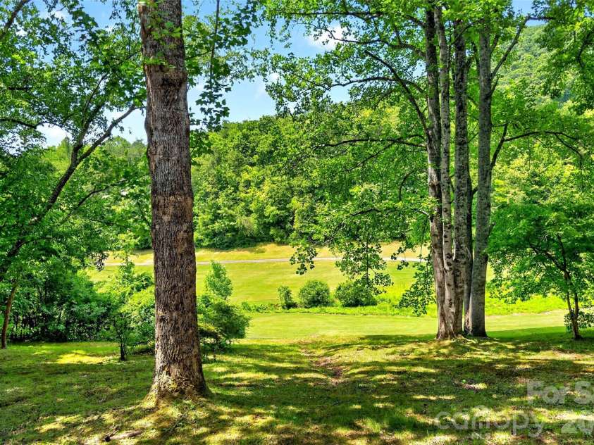 103 Richard Lane, Black Mountain, NC 28711.  MLS# CAR4393479, YatesRealty ID 31831. Back yard - backs up to Black Mountain Golf Course