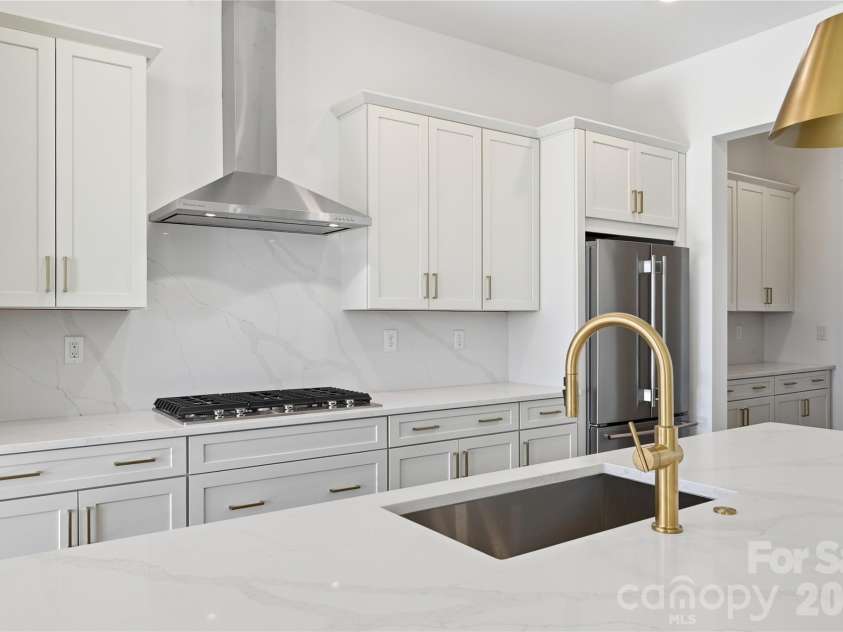 1081 Pinecone Avenue, Indian Land, SC 29707.  MLS# CAR4314031, YatesRealty ID 31855. Elegant finishes throughout the home.