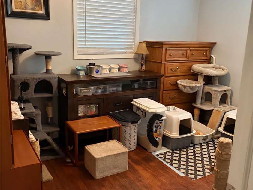 3842 Dowell Street, Hickory, NC 28602.  MLS# CAR4288003, YatesRealty ID 31898. 