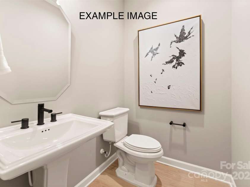 12107 Sessile Drive, Mint Hill, NC 28227.  MLS# CAR4274005, YatesRealty ID 31906. Example Photo - Powder Room