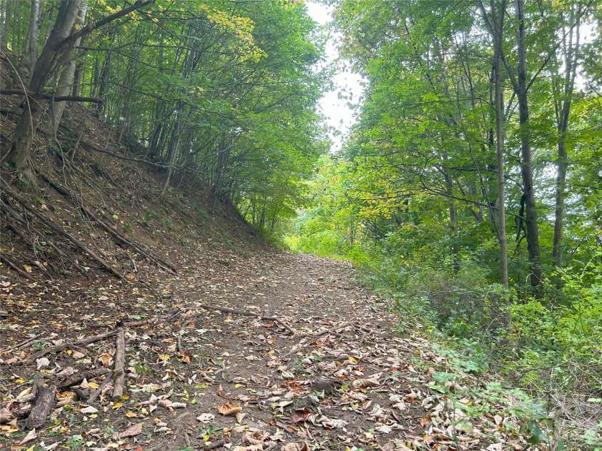 840 Ed Williams Road, Zionville, NC 28698.  MLS# CAR4182614, YatesRealty ID 3199. 